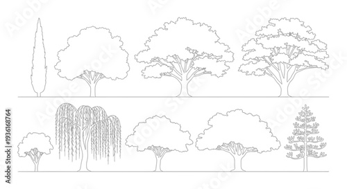 Collection of Vector Tree Silhouettes: Various Species for Architectural and Landscape Design