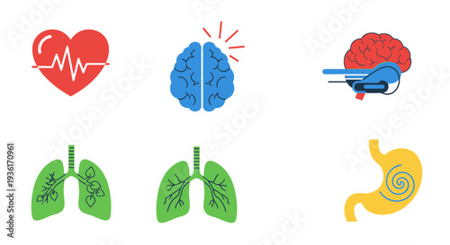 Medical Icons: Heart, Brain, Lungs, Stomach, MRI Scan