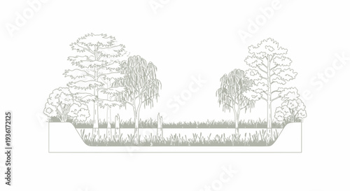 Cross-section of a wetland ecosystem with diverse aquatic plants and trees