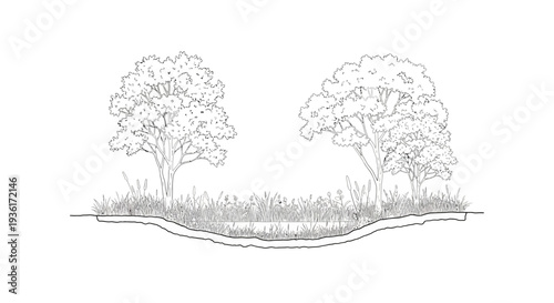 Line Drawing of a Pond Ecosystem with Trees and Grass
