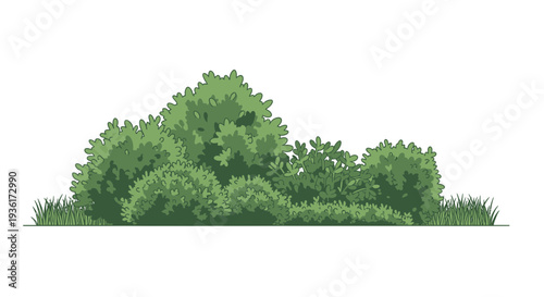 Lush Green Bushy Trees and Grass Landscape Illustration