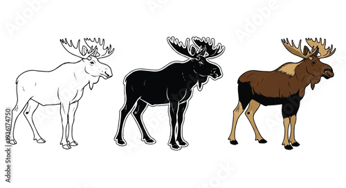 Colored moose varieties with distinct antlers and fur patterns in a simple line