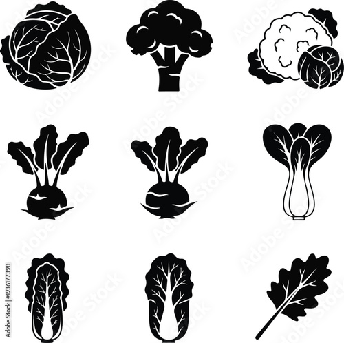 Collection of stylized vegetable silhouettes including cabbage broccoli and cauliflower.