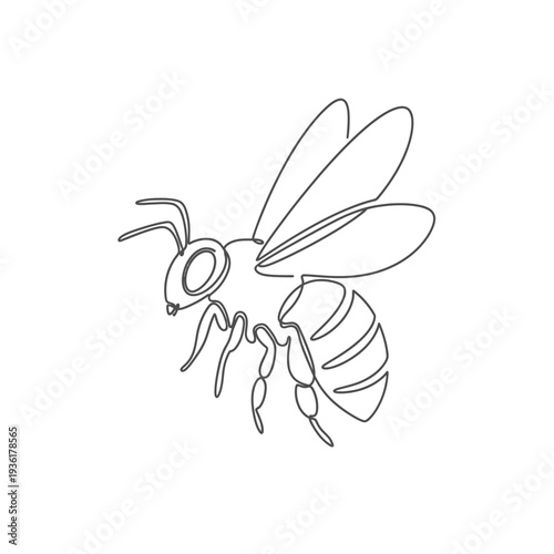 Minimalist one line art illustration of a flying honeybee insect.