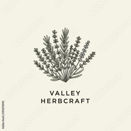 Valley Herbcraft Botanical Illustration Logo Design.