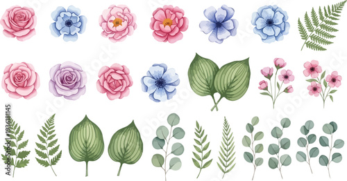 Watercolor Floral Elements Vector Illustration Set. Hand-painted Botanical Collection for Wedding Invitations and Greeting Cards.