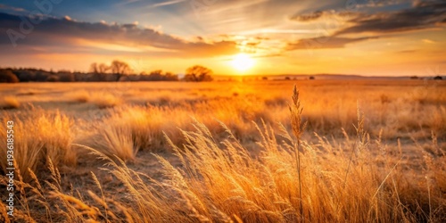 Serene Sunset Over Golden Fields with Clouds and Warm Light