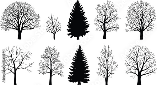PrintSilhouette tree collection, black tree shapes, forest illustration, botanical design, nature elements, deciduous and coniferous trees, vector art, landscape