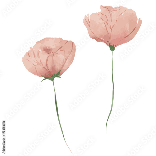 水彩風ピンクの花デザイン｜フラワー・植物・春・ナチュラル装飾素材