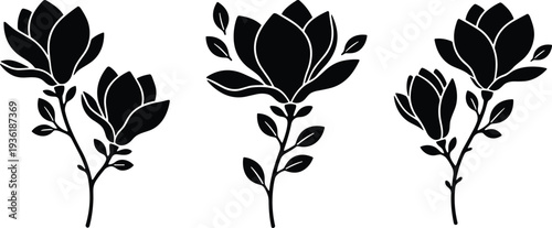 Elegant hand drawn magnolia flower vector set featuring minimal line art botanical stems for luxury wedding invitations romantic greeting cards and bridal shower designs