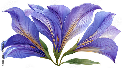 A close up of a purple flower with a white background