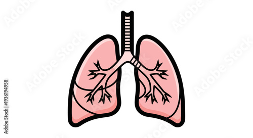 Human Lungs Anatomy Illustration for Medical and Educational Purposes.