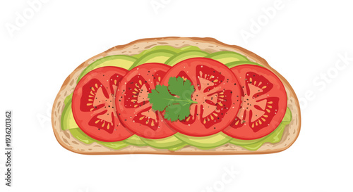 Healthy Avocado Toast with Tomato Slices and Cilantro on Whole Wheat Bread