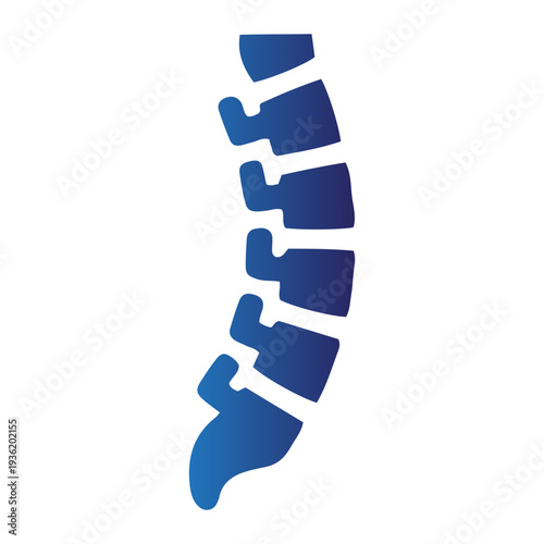Illustration of a human spine with blue gradient vertebrae on a white background from a direct viewpoint