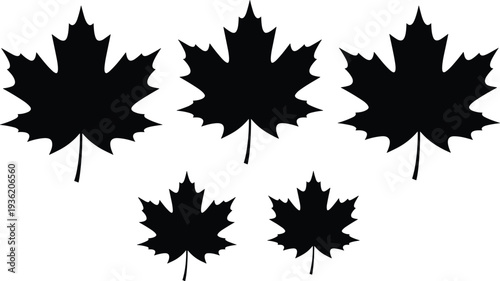 Silhouette illustration of maple leaves in varied sizes, showcasing botanical diversity, autumn foliage, natural design elements, and seasonal plant variation.