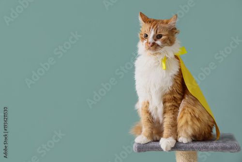 Cute cat in superhero costu...