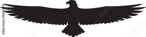 Powerful eagle flying wall art design featuring a bold soaring eagle silhouette in a clean detailed style.