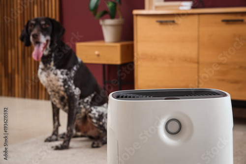Modern air purifier in styl...
