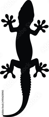 Black silhouette of gecko lizard viewed from above with long tail, spread toes, and climbing pads, symbolizing reptile anatomy, wildlife, biology, and decorative design.