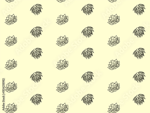 Seamless succulent and hanging plant pattern, hand drawn botanical line art background