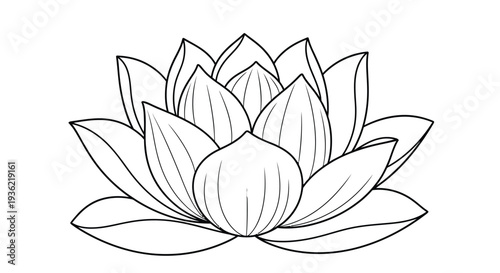 Bild auf Leinwand A delicate black and white line drawing of a blooming lotus flower