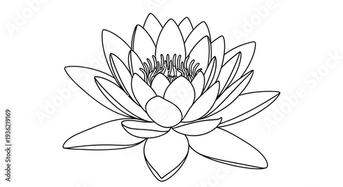 Minimalist line drawing of a single blooming lotus flower on a white background