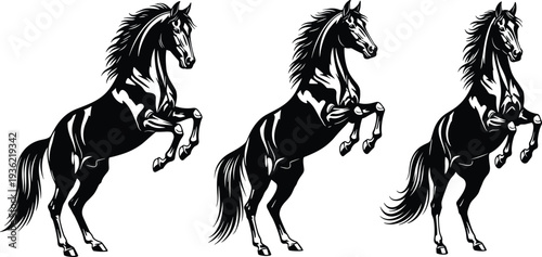Black rearing horse silhouettes, dynamic equestrian vector illustration, powerful stallion design, animal strength, motion, vitality, decorative art, branding element