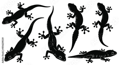 Black, silhouette, collection, of, poultry, birds, including, turkeys, geese, and, ducks, with, webbed, feet, icons, isolated, on, white, background, for, farming,