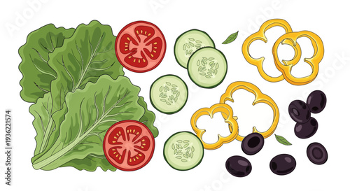 Fresh salad ingredients arranged on white background