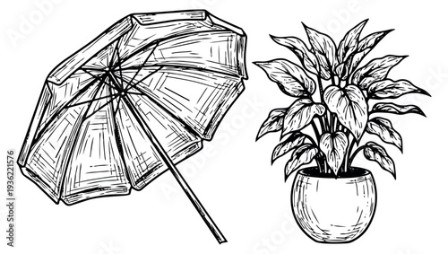 Hand drawn umbrella and potted plant set black and white line art