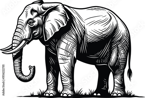 Powerful Elephant Silhouette Vector Illustration with Detailed Woodcut Texturing African Wildlife Safari Animal Icon for Nature Conservation Posters Vintage Style Engraving Graphic Design Backdrop