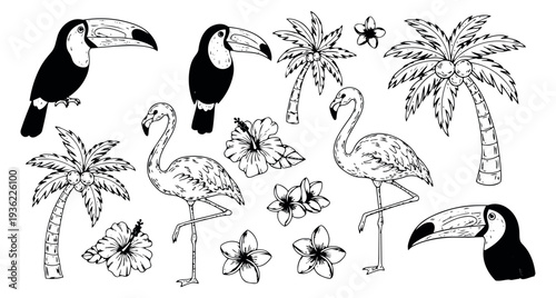 Tropical animal and plant icon set with flamingo, toucan, palm tree and flowers black and white line art