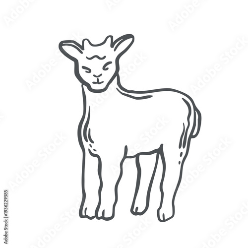 Baby goat sketch vector graphic illustration for the design of farming and zoological themes. Whimsical hand drawn isolated pets. Black and white line art farm animals for organic products packaging.