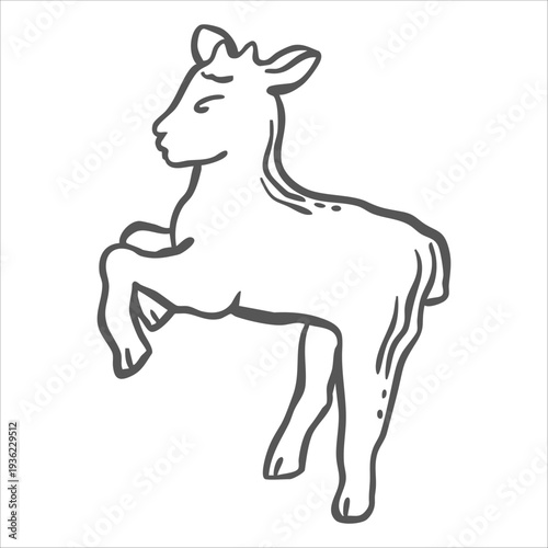 Baby goat sketch vector graphic illustration for the design of farming and zoological themes. Whimsical hand drawn isolated pets. Black and white line art farm animals for organic products packaging.