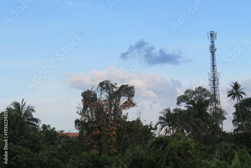 A tall telecommunication tower or cell site standing above a lush green forest canopy under a clear blue sky. Symbolizes connectivity, digital technology, and wireless communication infrastructure in 