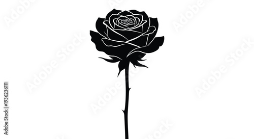 Elegant black silhouette of a blooming rose with a slender stem and visible thorns