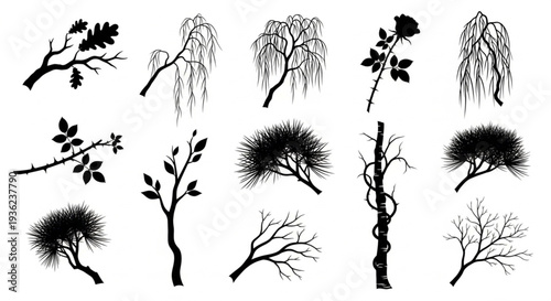Silhouettes of Trees and Branches Vector Art