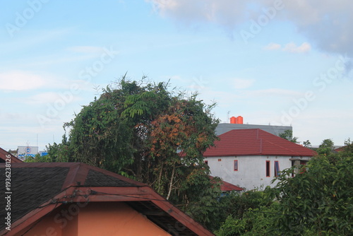 Urban landscape featuring red-tiled house roofs and a large green tree against a clear blue sky. Typical southeast asian residential architecture with water tanks on a sunny day.
