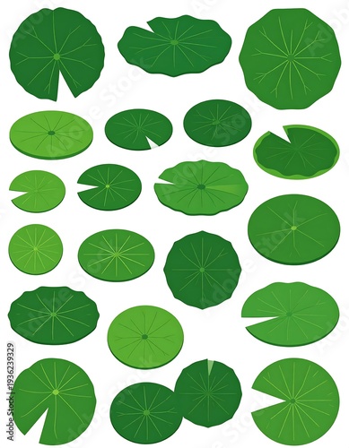 Lily pad collection