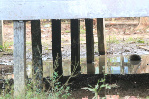 Low angle view of traditional wooden pillars supporting a house over a muddy, flooded ground. Illustrating rural construction, disaster challenges, or traditional architecture in tropical wetlands. Us