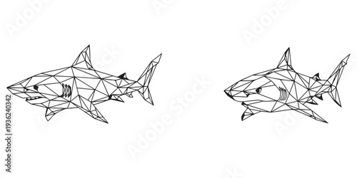 Geometric Shark Illustrations Side by Side on White Background from a Front Viewpoint