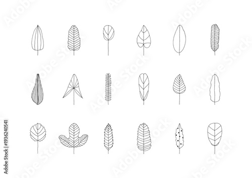 色々な形をした葉っぱの線画手描きイラストセット
