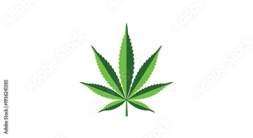 Stylized green marijuana cannabis leaf vector graphic illustration isolated on clean white background