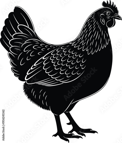 Chicken silhouette vector illustration, poultry farm animal icon design, domestic bird artwork, agricultural graphic, black feathered livestock profile art