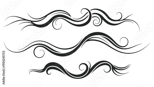 Set of elegant black flourishes and flowing scrollwork designs with intricate curves and swirls isolated on a white background for decoration.