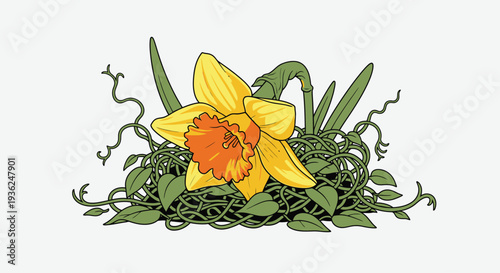 Daffodil with orange center resting on tangled green vines