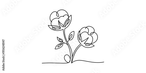 Minimalist continuous line drawing of cotton bolls on a single stem with leaves. Vector, illustration