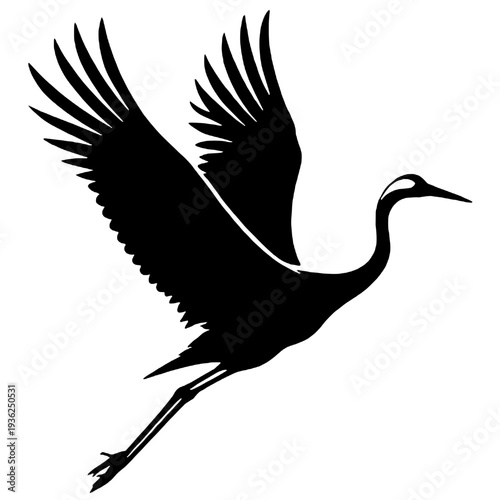 Black stork silhouette