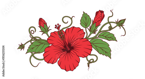 Red hibiscus flower with vine and leaves