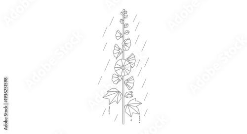 Plant Stem with Leaves and Droplets in Rain